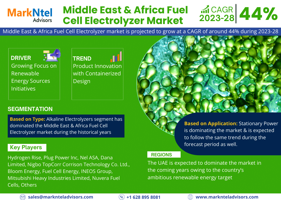 Middle East & Africa Fuel Cell Electrolyzer Market