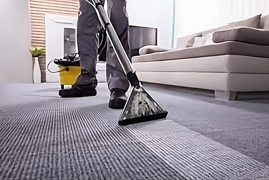 Your Guide to Premier Carpet Cleaners