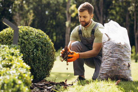 gardening services and consultant