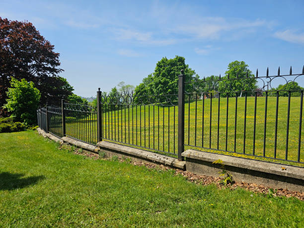 Wrought Iron Fencing