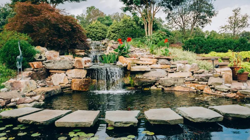 Expert Pond Building: Custom Water Features for Every Landscape