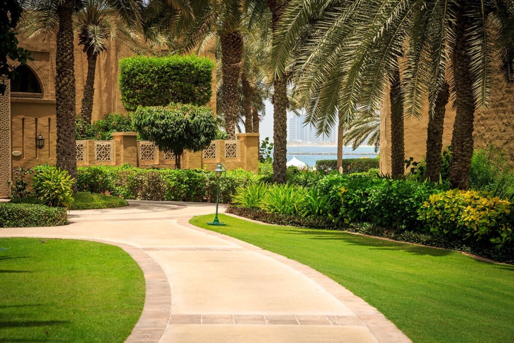 Dubai's Desert Dreamscapes Unveiling the Best Landscape Services