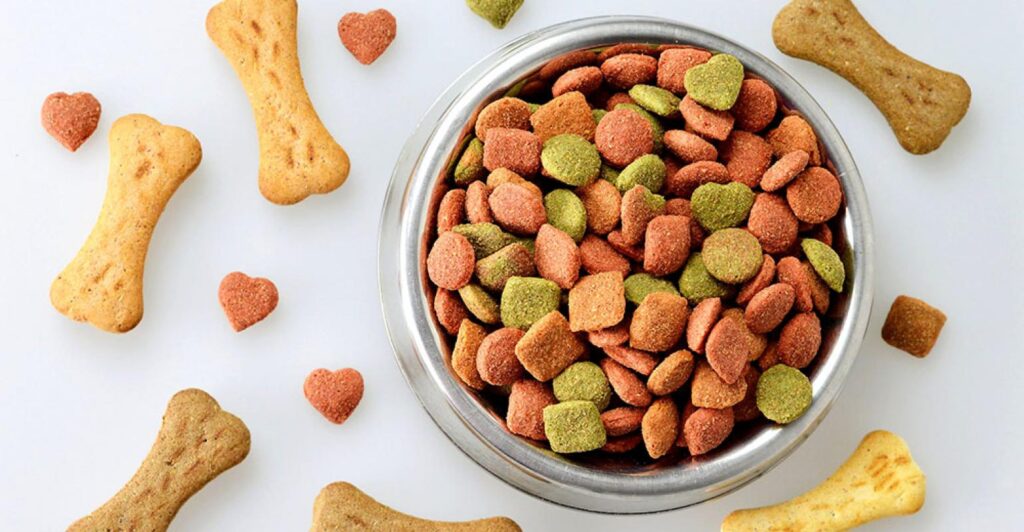 Pet Food in Lahore: Comprehensive Guide