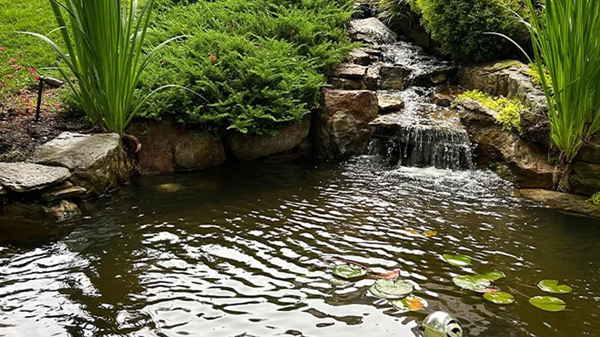 Pond Pump Maintenance Tips for Smooth Operation