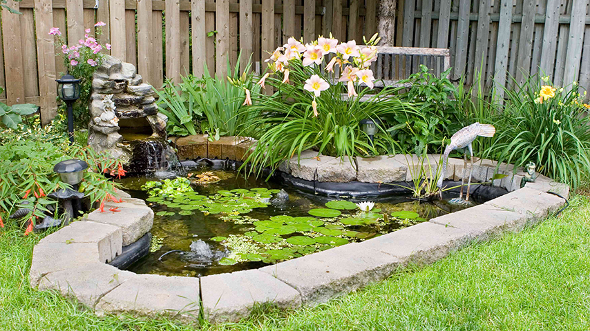 Why Pond Pump Maintenance Matters