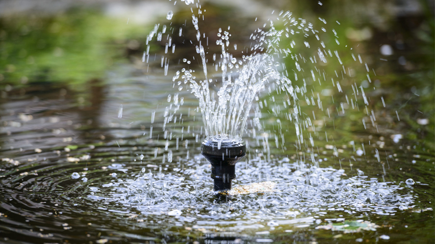 Prolonging the Life of Your Pond Pump