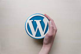 wordpress development