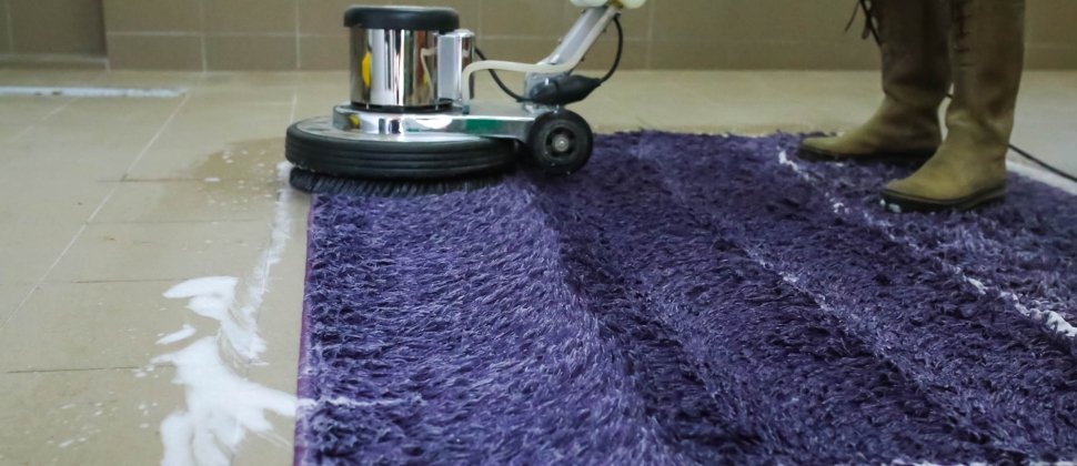 Carpet Cleaning Otis Orchards