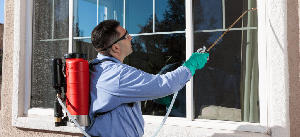 Whitby Pest Control: Expert Solutions for a Pest-Free Home