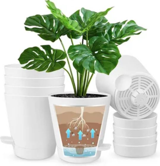 A plant pot containing a green plant beside a fan, showcasing a serene indoor environment.