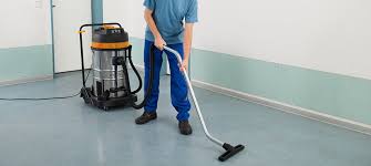 Top Reasons to Buy an Industrial Steam Cleaner for Sale