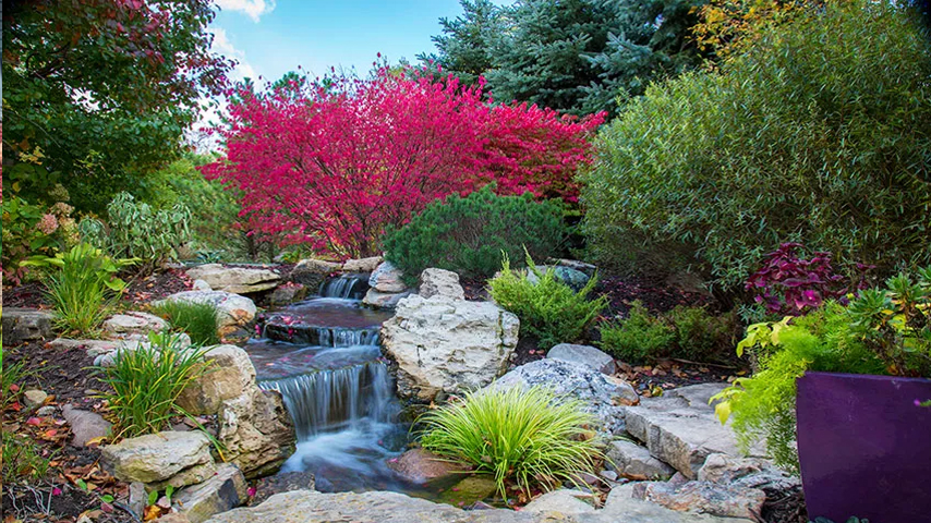 Benefits of Proper Winter Care for Pondless Waterfalls