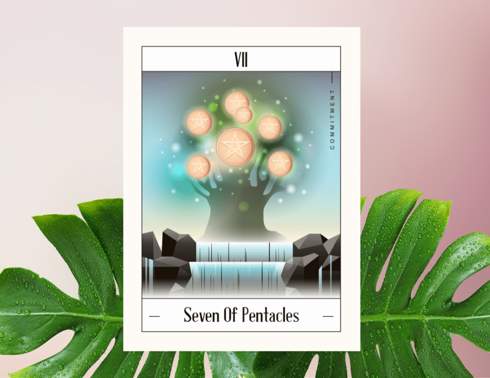 7 of Pentacles