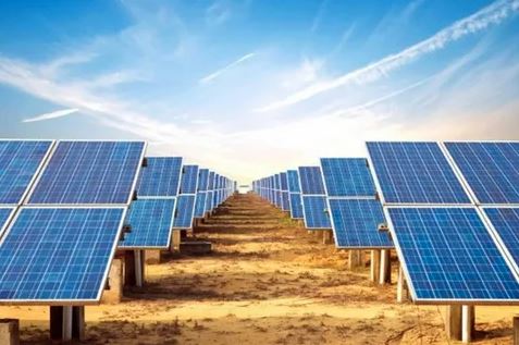 Solar panels installed in a field under a clear blue sky, showcasing renewable energy in a natural setting.