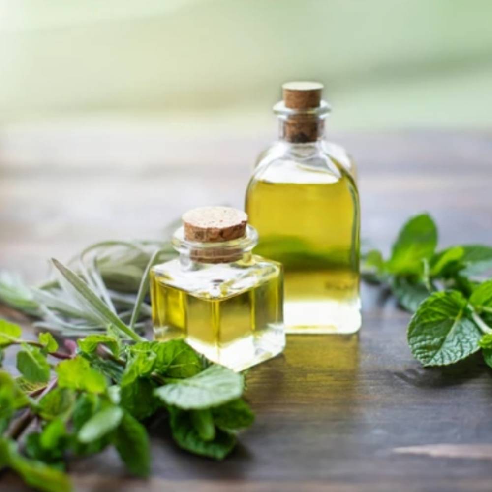 peppermint oil supplier