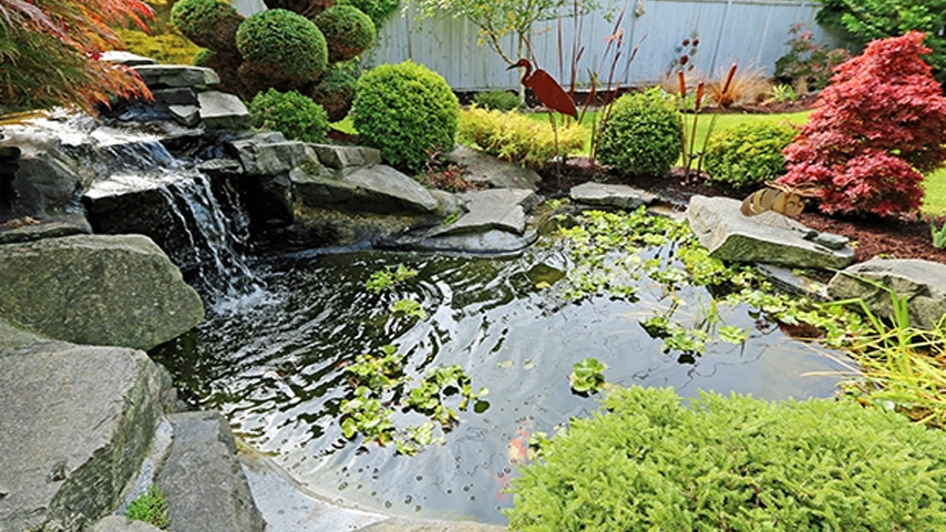 Why Early Spring is the Best Time for Pond Cleaning