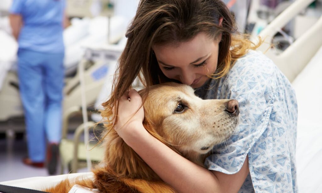 The Impact of Therapy Dogs in Addiction Treatment