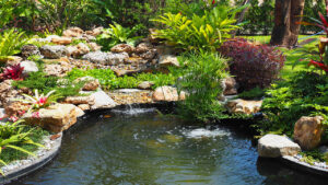 Eco-Friendly Pond Care | Sustainable Ways to Keep Your Pond Clean and Healthy