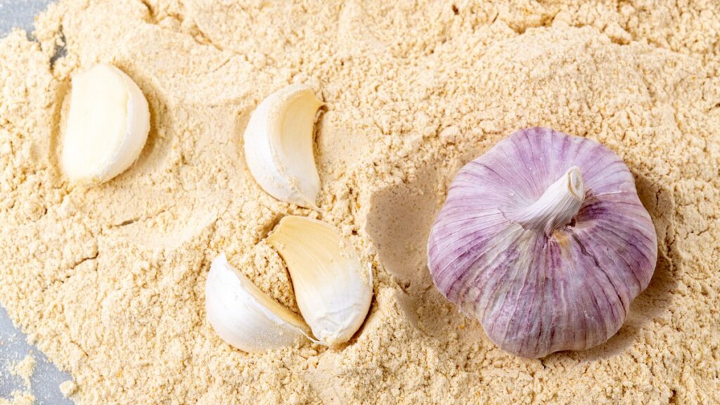 Garlic Powder Manufacturing Plant