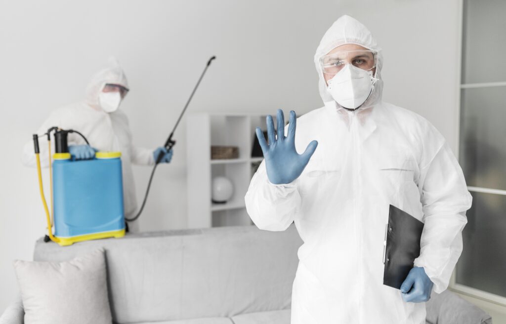 SEO Services for Pest Control