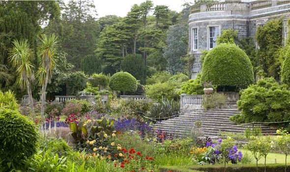cheshire gardening services