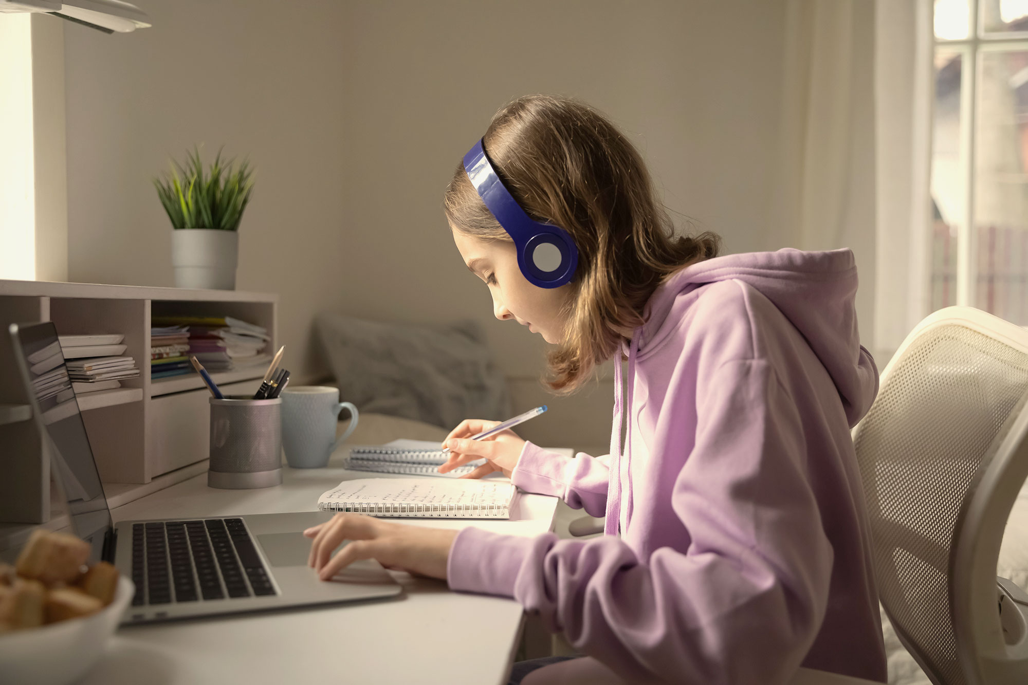 myob perdisco assignment help