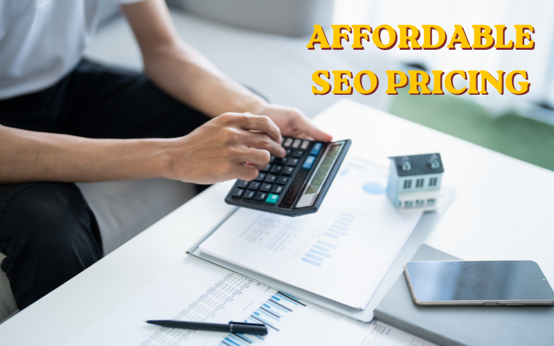 Affordable SEO Pricing Secrets How to Get Top Rankings Without High Costs