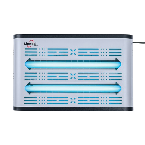 Fly catcher in Bangalore