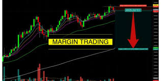 Margin Trading