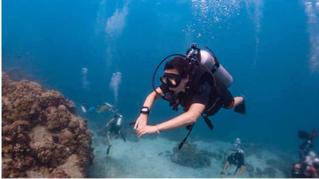 Sail Rock diving in Thailand