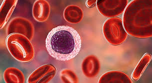 blood cancer treatment