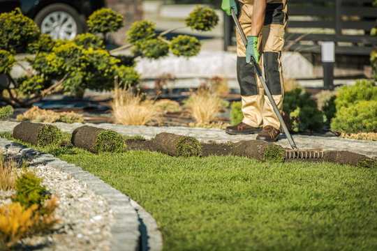 Commercial landscaping