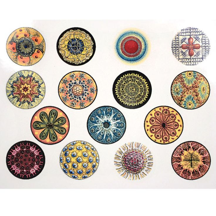 Custom Circle Decals