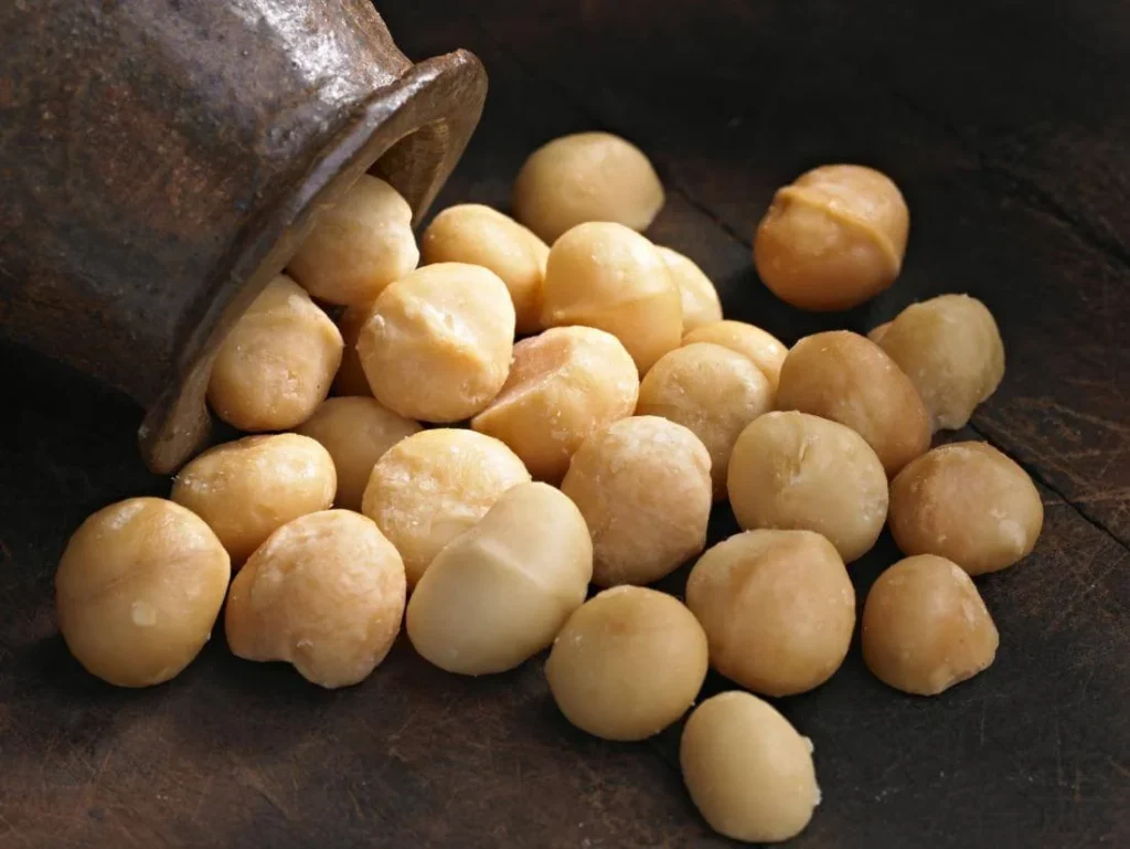 Where Can You Buy Macadamia Nuts in India Online?