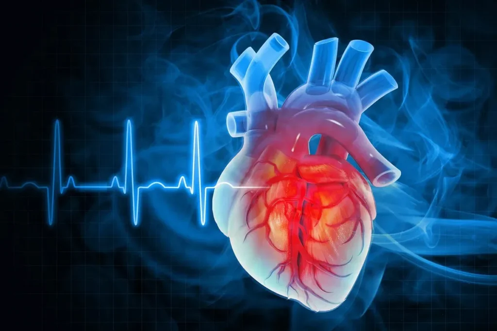 an ultrasound of the heart