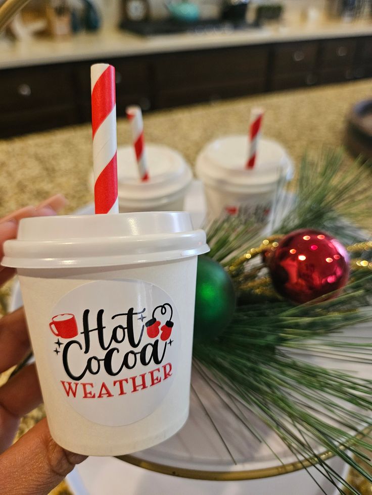 Hot Chocolate Cups