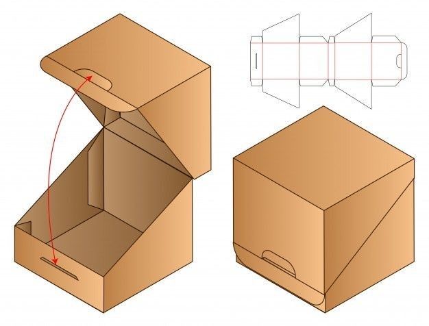 Shipping Carton Display